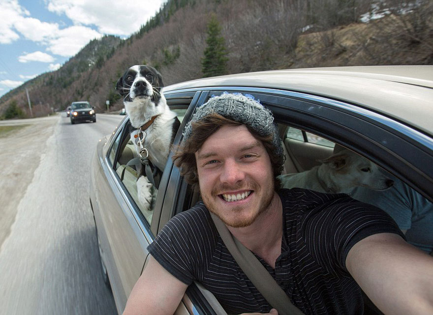 funny-animal-selfies-allan-dixon-23