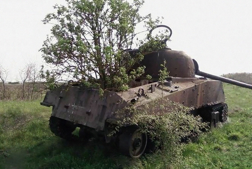 tanks-taken-over-by-nature-361__880